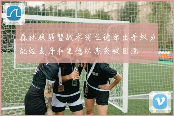 森林狼调整战术将兰德尔出手权分配给麦丹和里德以期突破困境